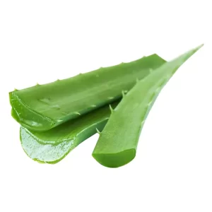 Aloe Vera each