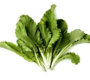 Badhakopi Pata (Chinese Cabbage Leaves) 150 gm+ each