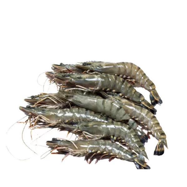 Bagda Chingri (Shrimp) 25-30 pcs ±30 gm 500 gm