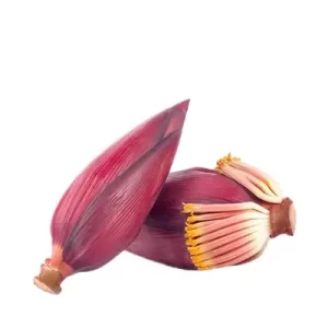 Banana Flower (Kolar Mocha) each