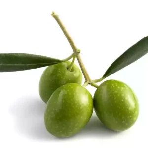 Green Olives (Jolpai) ± 25 gm 500 gm