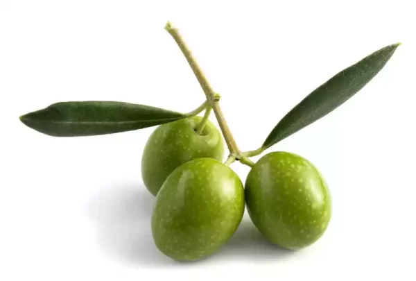 Green Olives (Jolpai) ± 25 gm 500 gm