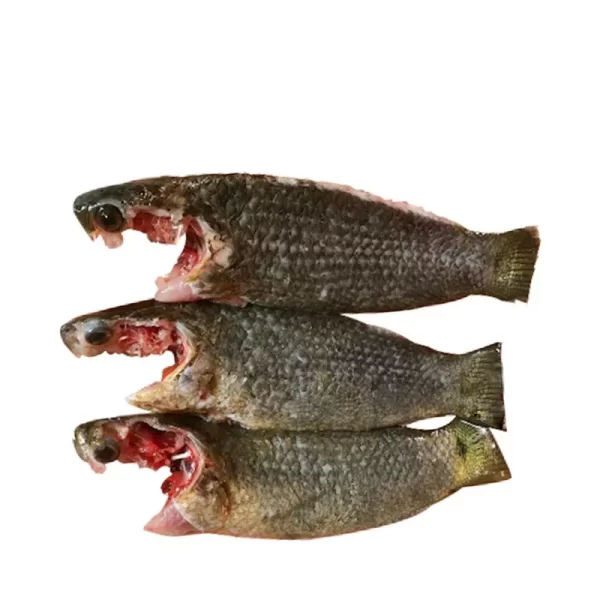 Koi Fish Processed ±50 gm 1 kg