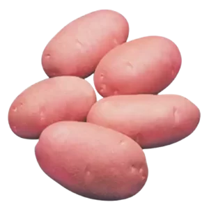 Lal Alu (Red Potato Cardinal) ± 50 gm 1 kg