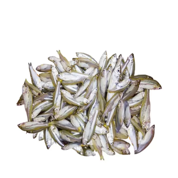 Mola Fish Deshi ±15 gm 250 gm