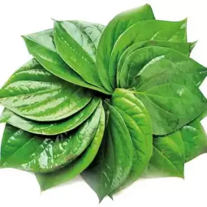 Paan (Betel Leaf) 20 pcs
