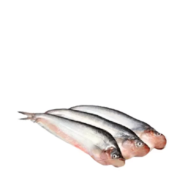 Pabda Fish ±30 gm 500 gm