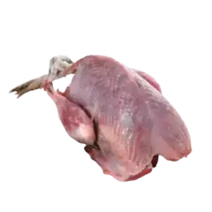 Pigeon Meat each