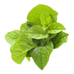 Pui Shak (Pui Spinach) 1 bundle
