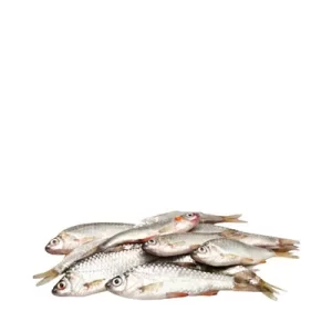 Puti Fish ±15 gm 250 gm
