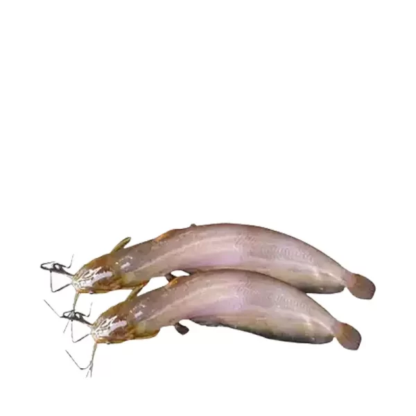 Shing Fish Processed ±30 gm 500 gm