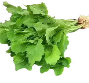 Shorshe Shak (Mustard Spinach) 1 bundle