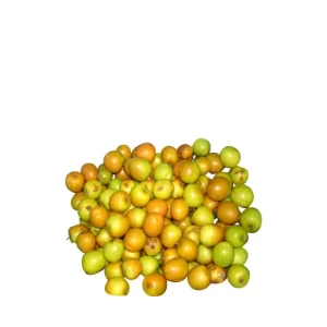Sour Jujube (Tok Boroi) 500 gm