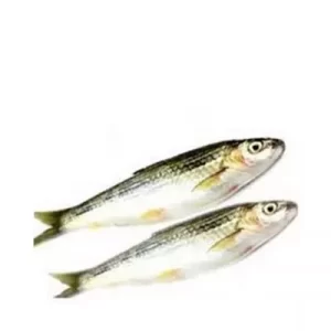 Tatkini Fish ±30 gm 500 gm