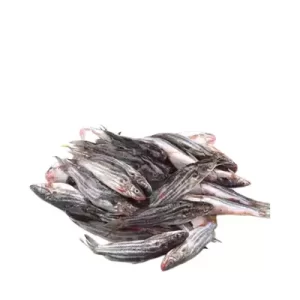 Tengra Fish Deshi ±20 gm 400 gm