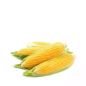 Vutta each