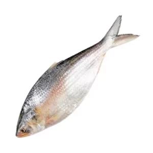 Whole Hilsha Fish (Asto Ilish) ± 50 gm 1 kg