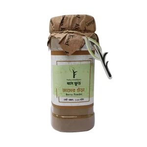 Khaas Food Berry Powder 100 gm