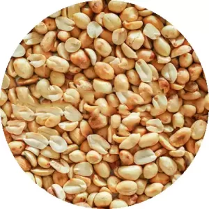 Peanut Peeled (Vaja Cheena Badam) 100 gm